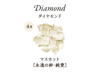 4月 ダイヤモンド マスカット[永遠の絆・清純無垢]
